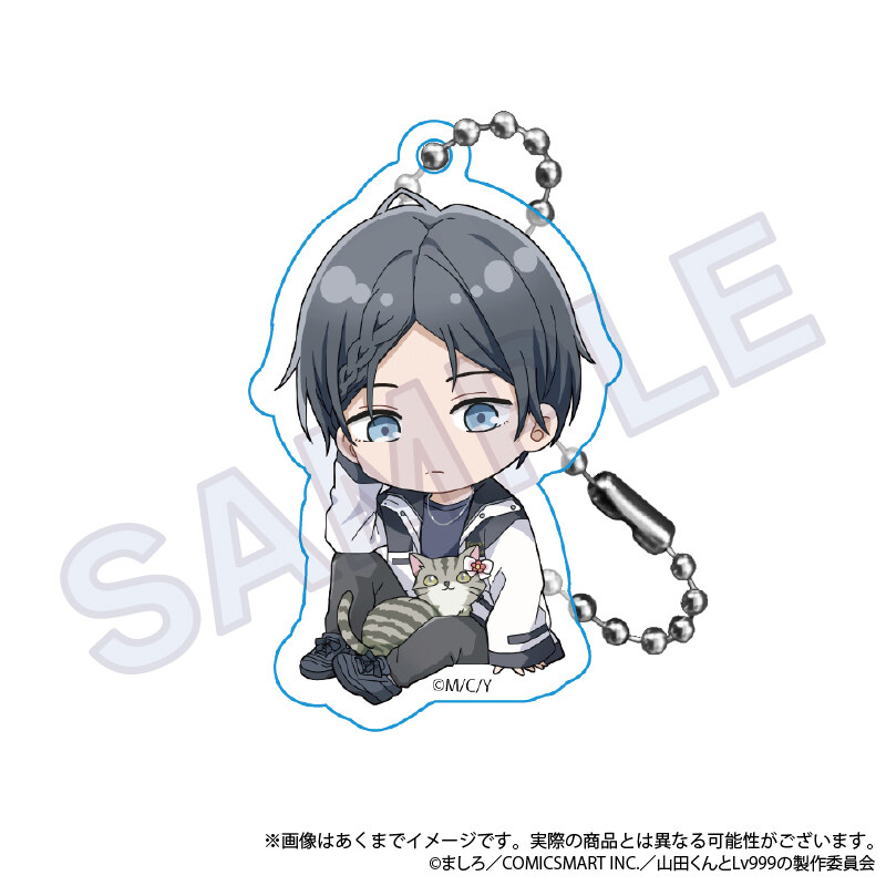 (PO) My Love Story with Yamada-kun at Lv999 Trading Acrylic Key Chain Kitty Outfit Ver. [BOX] Image_7