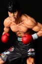 (PO) Hajime no Ippo - Takamura Mamoru Fighting Pose Ver. Damage Image_3