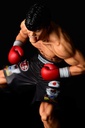 (PO) Hajime no Ippo - Takamura Mamoru Fighting Pose Ver. Damage Image_8