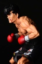 (PO) Hajime no Ippo - Takamura Mamoru Fighting Pose Ver. Damage Image_11