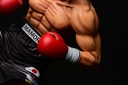 (PO) Hajime no Ippo - Takamura Mamoru Fighting Pose Ver. Damage Image_27