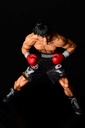 (PO) Hajime no Ippo - Takamura Mamoru Fighting Pose Ver. Damage EX Image_25