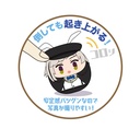 (PO) Bungo Stray Dogs Corocot Alice Ver. [BOX] Image_5