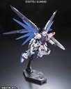 RG Gundam Seed - ZGMF –X10A Freedom Gundam Image_4