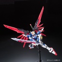 RG Gundam Seed Destiny ZGMF-X42S Destiny Gundam Image_7