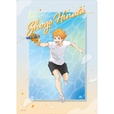 (PO) Haikyu!! Clear File Aug 2022 Ver. - Hinata Shoyo Image_1