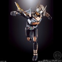 (PO) SO-DO Chronicle Kamen Rider Kabuto 2 [BOX] Image_6