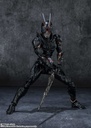 (PO) S.H.Figuarts Kamen Rider Black Sun Image_7