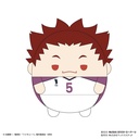 (PO) HQ-31 Haikyu!! Fuwakororin 5 [BOX] Image_7