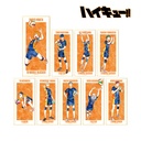 (PO) Haikyu!! Trading Ani-Art Vol. 2 Shikishi with Stand [BOX] Image_1
