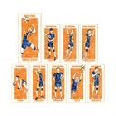 (PO) Haikyu!! Trading Ani-Art Vol. 2 Shikishi with Stand [BOX] Image_2