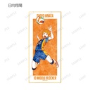 (PO) Haikyu!! Trading Ani-Art Vol. 2 Shikishi with Stand [BOX] Image_3