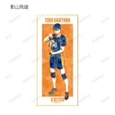 (PO) Haikyu!! Trading Ani-Art Vol. 2 Shikishi with Stand [BOX] Image_4