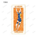 (PO) Haikyu!! Trading Ani-Art Vol. 2 Shikishi with Stand [BOX] Image_5