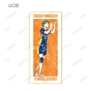 (PO) Haikyu!! Trading Ani-Art Vol. 2 Shikishi with Stand [BOX] Image_6