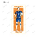 (PO) Haikyu!! Trading Ani-Art Vol. 2 Shikishi with Stand [BOX] Image_9