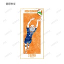 (PO) Haikyu!! Trading Ani-Art Vol. 2 Shikishi with Stand [BOX] Image_10