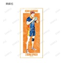 (PO) Haikyu!! Trading Ani-Art Vol. 2 Shikishi with Stand [BOX] Image_11