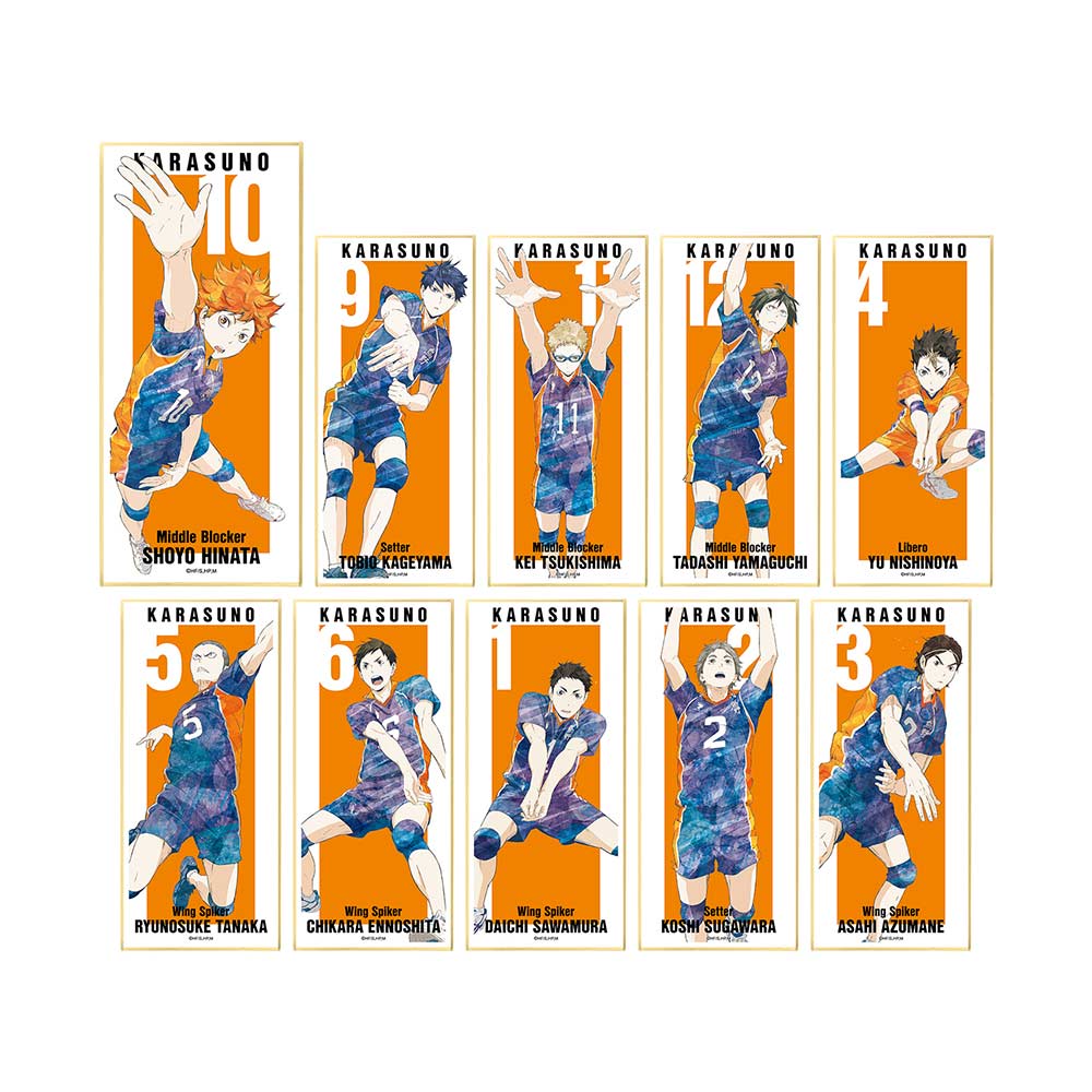 (PO) Haikyu!! Trading Ani-Art Vol. 3 Shikishi with Stand [BOX] Image_2