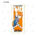(PO) Haikyu!! Trading Ani-Art Vol. 3 Shikishi with Stand [BOX] Image_3