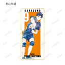 (PO) Haikyu!! Trading Ani-Art Vol. 3 Shikishi with Stand [BOX] Image_4
