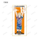(PO) Haikyu!! Trading Ani-Art Vol. 3 Shikishi with Stand [BOX] Image_5