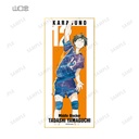 (PO) Haikyu!! Trading Ani-Art Vol. 3 Shikishi with Stand [BOX] Image_6