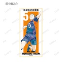(PO) Haikyu!! Trading Ani-Art Vol. 3 Shikishi with Stand [BOX] Image_8