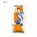 (PO) Haikyu!! Trading Ani-Art Vol. 3 Shikishi with Stand [BOX] Image_9