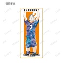 (PO) Haikyu!! Trading Ani-Art Vol. 3 Shikishi with Stand [BOX] Image_11