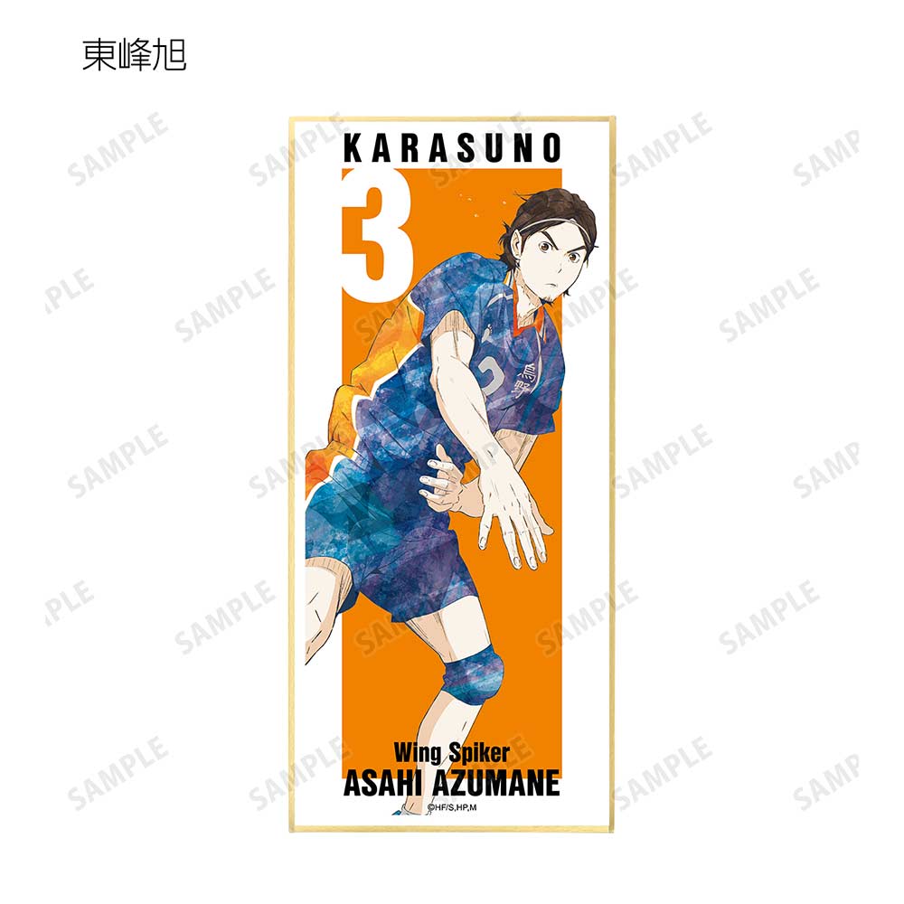 (PO) Haikyu!! Trading Ani-Art Vol. 3 Shikishi with Stand [BOX] Image_12