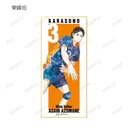 (PO) Haikyu!! Trading Ani-Art Vol. 3 Shikishi with Stand [BOX] Image_12