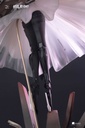 (PO) PUNISHING: GRAY RAVEN - LIV: LUMINANCE GENERIC FINAL Image_7