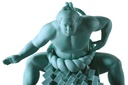 (PO) The 58th Yokozuna Chiyonofuji Green Blue Specification Model Image_8