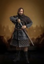 (PO) Game of Thrones - Sandor The Hound Clegane (Season 7) Image_7