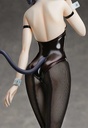 (PO) The 501st Unification Battle Wing Strike Witches ROAD to BERLIN - Sanya V. Litvyak Bunny Style Ver. Image_8
