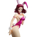 (PO) B-Style Code Geass: Lelouch of the Rebellion - Kallen Kouzuki Bare Leg Bunny Ver. Image_1