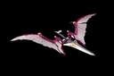 (PO) Kuro Kara Kuri Power Ranger - Dino Megazord Image_29