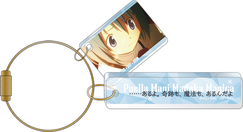 (PO) Puella Magi Madoka Magica Memorial Plate Collection [BOX] Image_7