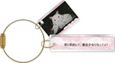 (PO) Puella Magi Madoka Magica Memorial Plate Collection [BOX] Image_9