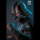 (PO) Deluxe Series DX28 - Star Wars: Obi-Wan Kenobi - Darth Vader (Deluxe Version) Image_6