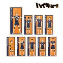 (PO) Haikyu!! Trading Ani-Art Vol. 4 Shikishi with Stand [BOX] Image_1