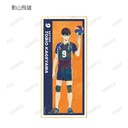 (PO) Haikyu!! Trading Ani-Art Vol. 4 Shikishi with Stand [BOX] Image_4