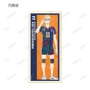 (PO) Haikyu!! Trading Ani-Art Vol. 4 Shikishi with Stand [BOX] Image_5