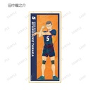 (PO) Haikyu!! Trading Ani-Art Vol. 4 Shikishi with Stand [BOX] Image_8