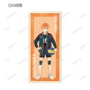(PO) Haikyu!! Trading Ani-Art Vol. 5 Shikishi with Stand [BOX] Image_3