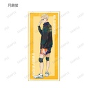 (PO) Haikyu!! Trading Ani-Art Vol. 5 Shikishi with Stand [BOX] Image_5