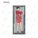 (PO) Haikyu!! Trading Ani-Art Vol. 5 Shikishi with Stand [BOX] Image_9