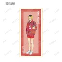 (PO) Haikyu!! Trading Ani-Art Vol. 5 Shikishi with Stand [BOX] Image_10