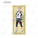 (PO) Haikyu!! Trading Ani-Art Vol. 5 Shikishi with Stand [BOX] Image_11